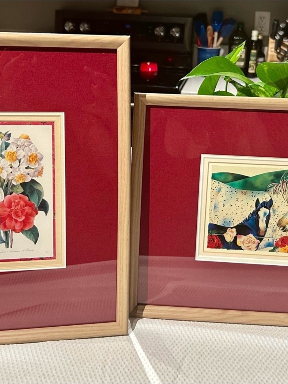 Retro 80s Framed Prints – Horse & Botanical Pair